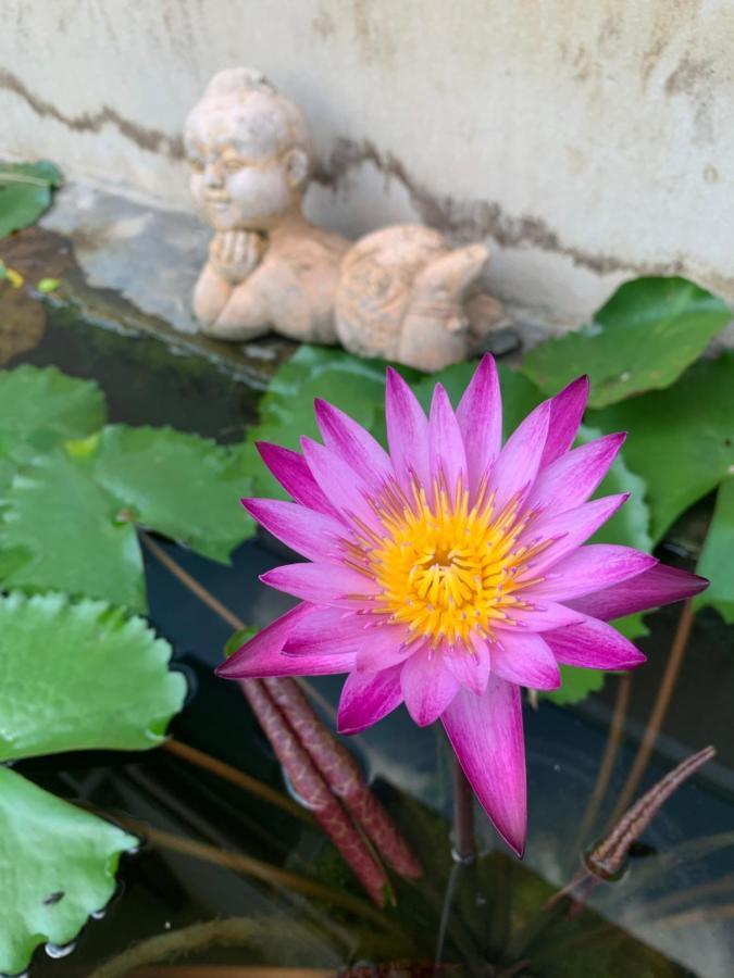 The Orchid House Hotel Nong Kung Yai Exterior photo